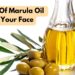 The Power Of Marula Oil For Your Face